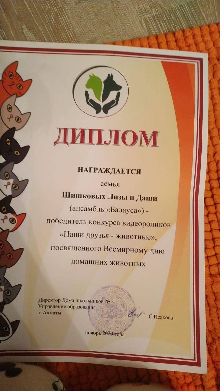 Диплом победителю конкурса "Наши друзья - животные"