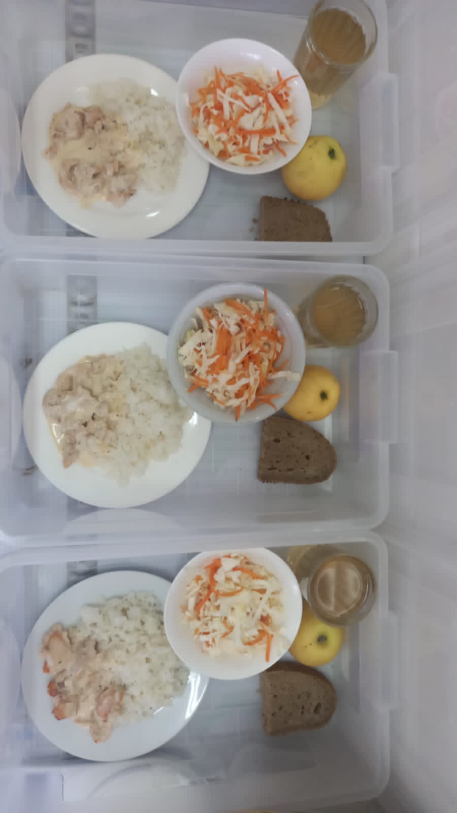 Мәзір/Меню 2 жұма/неделя 3 күн/день