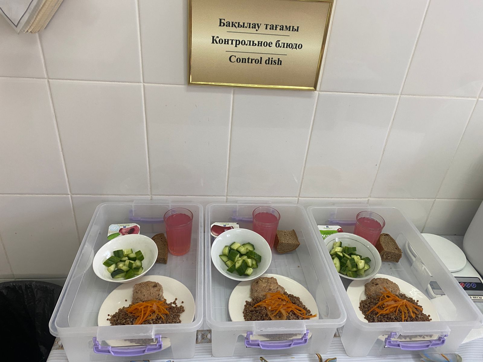 Мәзір/Меню 4 жұма/неделя 2 күн/день