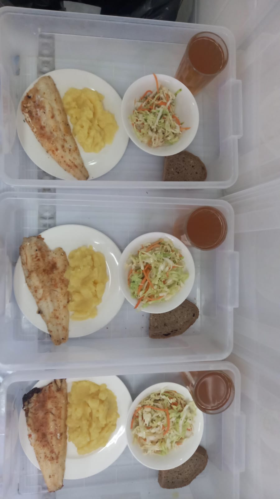 Мәзір/Меню 2 жұма/неделя 4 күн/день