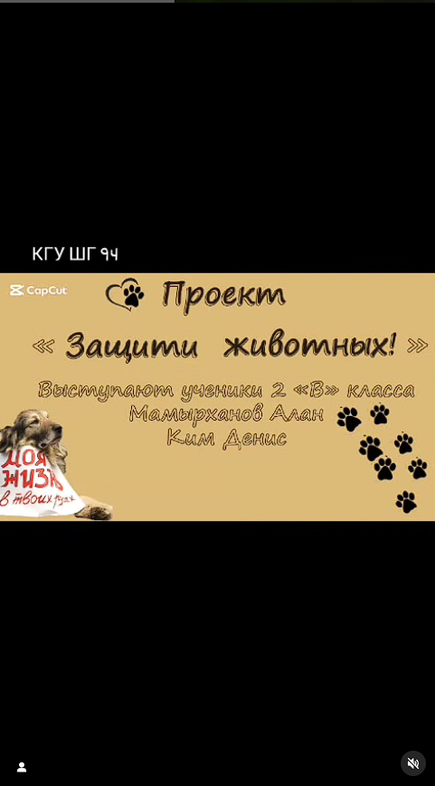 "Жас жануарларды қорғаушылар", 3-ші В оқушылар өз жобаларын ұсынды.