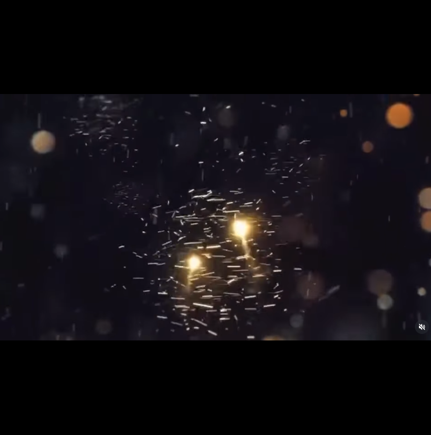 🎄✨ 25 желтоқсан күні